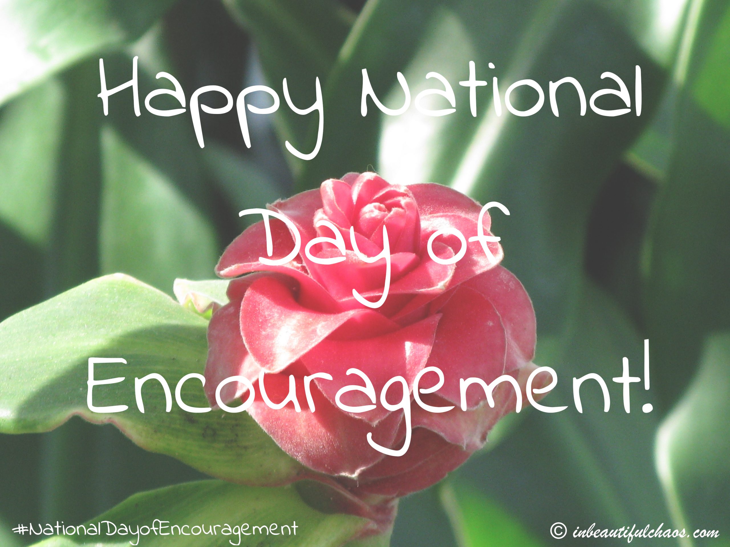 Happy National Day of Encouragement! In Beautiful Chaos